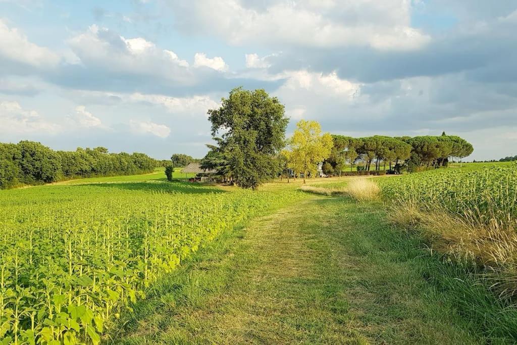 Gîte de campagne L'Estressol Cuq  Extérieur photo