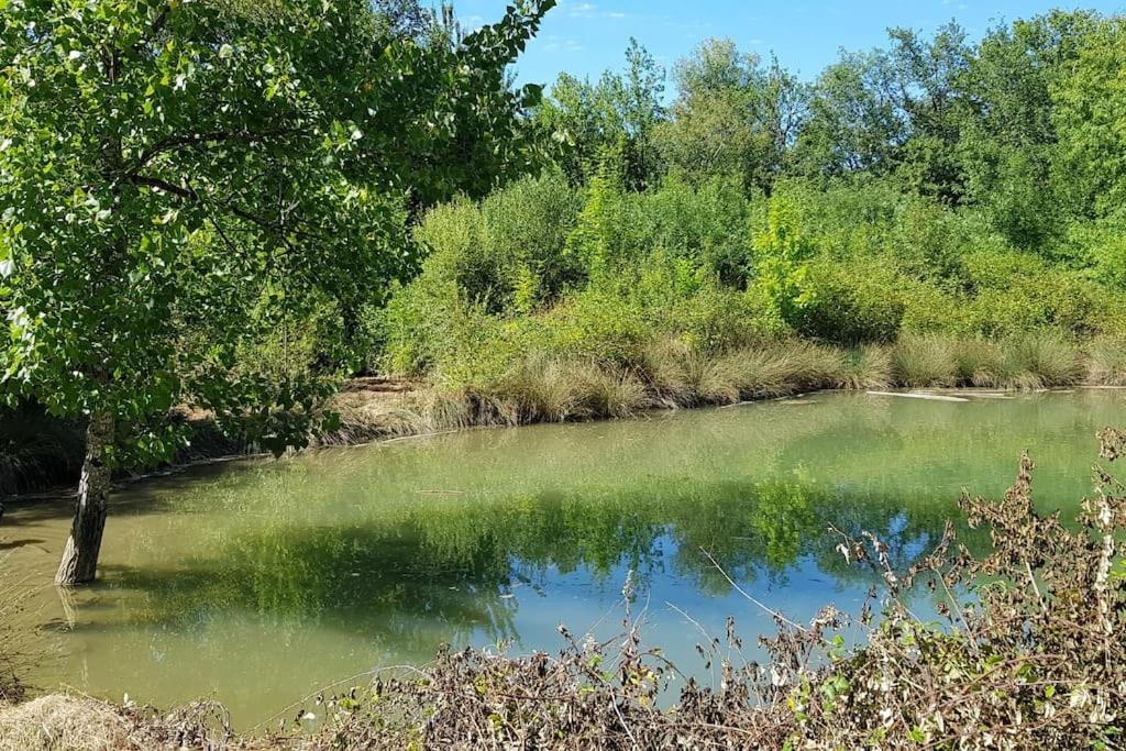 Gîte de campagne L'Estressol Cuq  Extérieur photo